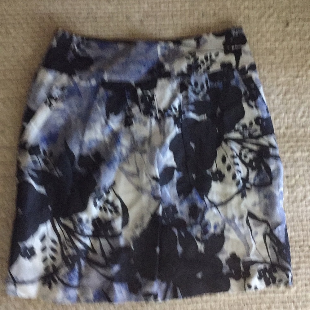 Ann Taylor Skirt